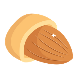 Almond  Icon