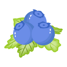 Blueberries  Icon