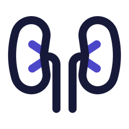 Kidney  Icon