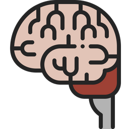 Brain  Icon