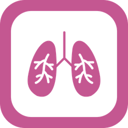 Infección de los pulmones  Icono