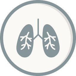 Lungs Infection  Icon