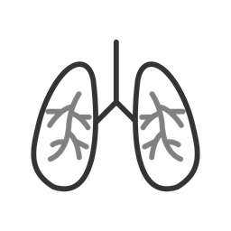 Infecção pulmonar  Ícone