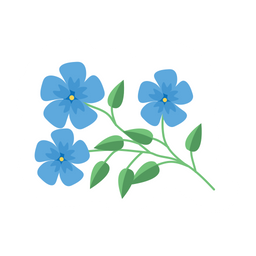 Blue Cornflower  Icon