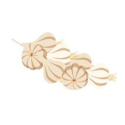 Garlic  Icon