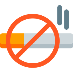 No, Smoking  Icon