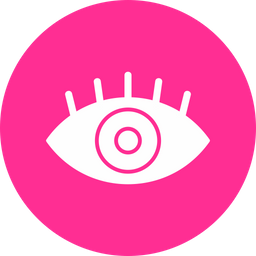 Eye  Icon