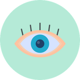 Eye  Icon