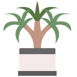 Dracaena  Icon