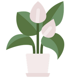 Anthurium  Icon