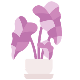 Arrowhead plant  Icon