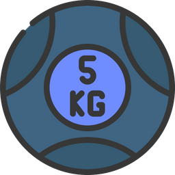 5 Kg Barbell Plate  Icon