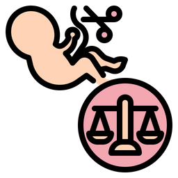 Legal Abortions  Icon