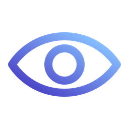 Vision View Eyes Icon