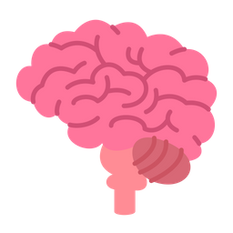 Brain  Icon