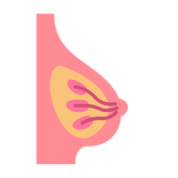 Breast  Icon