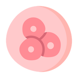 Cells  Icon