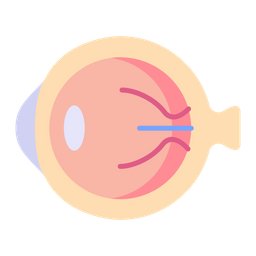 Eye  Icon