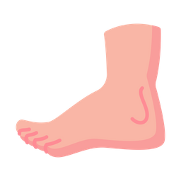 Foot  Icon