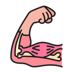 Arm  Icon