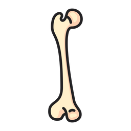 Bone  Icon