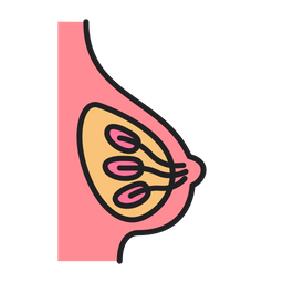 Breast  Icon