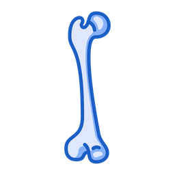 Bone  Icon