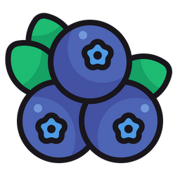 Blueberry  Icon