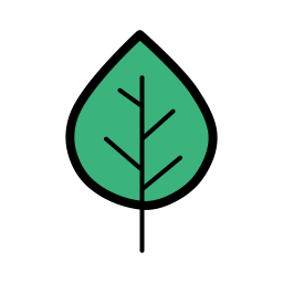 Birch leaf  Icon