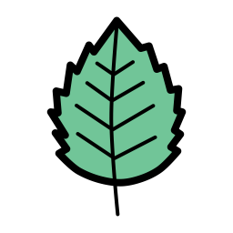 Birch leaf  Icon