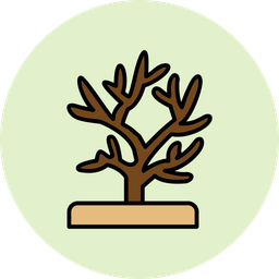 Coral  Icon