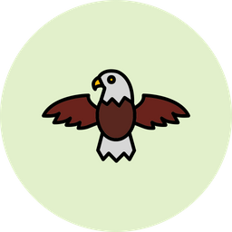 Eagle  Icon