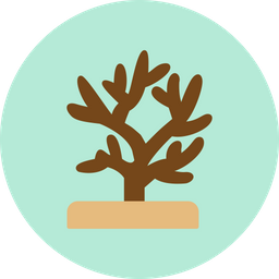 Coral  Icon