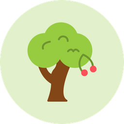 Cherry Tree  Icon