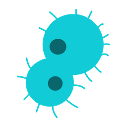 Two green cells with nucleuses  Icon