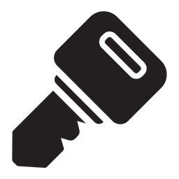 Access Key  Icon