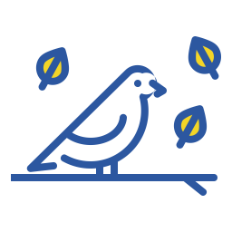 Bird  Icon