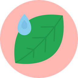 Leaf  Icon