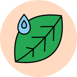 Leaf  Icon