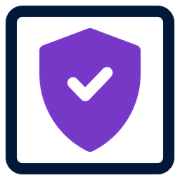 Check Security  Icon