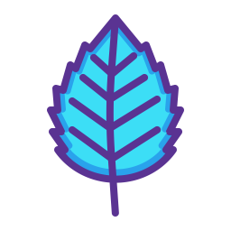 Elm leaf  Icon