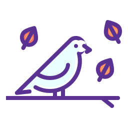 Bird  Icon