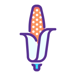 Corn  Icon