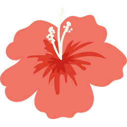 Hibiscus Flower  Icon