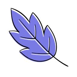 Leaf  Icon