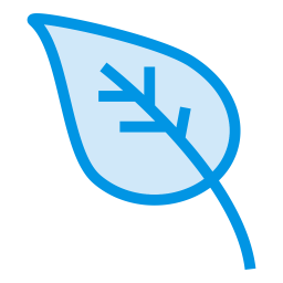 Leaf  Icon