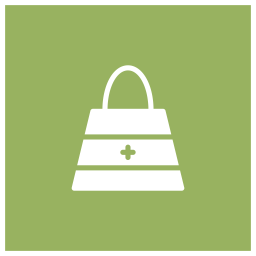 Purse  Icon