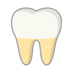어금니  아이콘