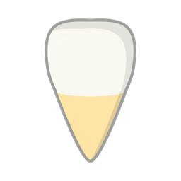 Incisor  Icon