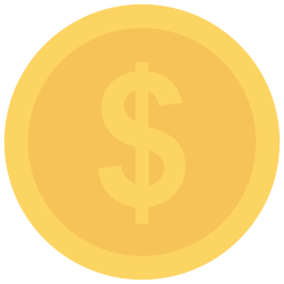 Coin  Icon